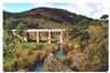 El Puente 2001
